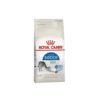 Royal Indoor 100x100 - Royal Canin Gastrointestinal