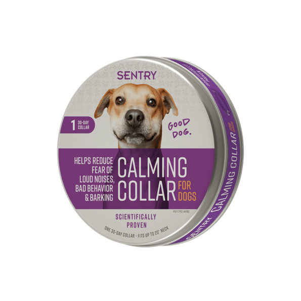 collar perro 595x595 - Collar Dog Calming Sentry