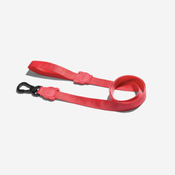 leash neon coral 595x595 - Leash Neon Coral Zee.dog