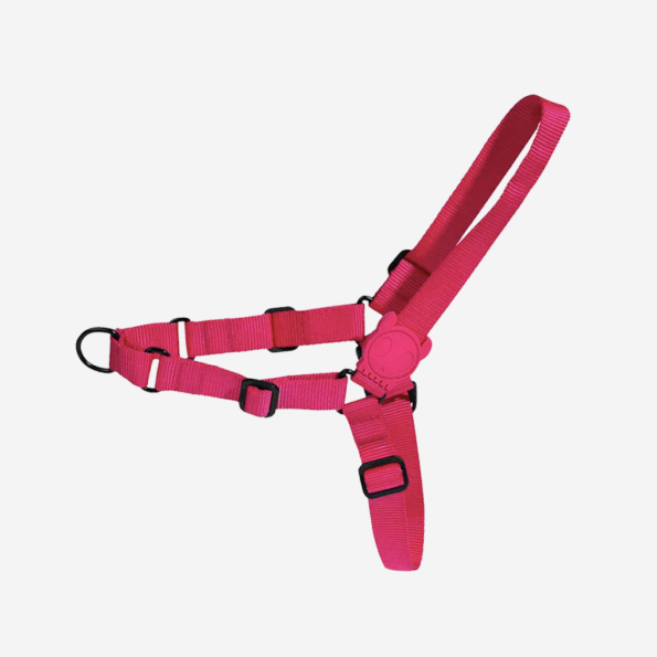 pink soft 595x595 - Soft-Walk Harness Pink Led Zee.dog