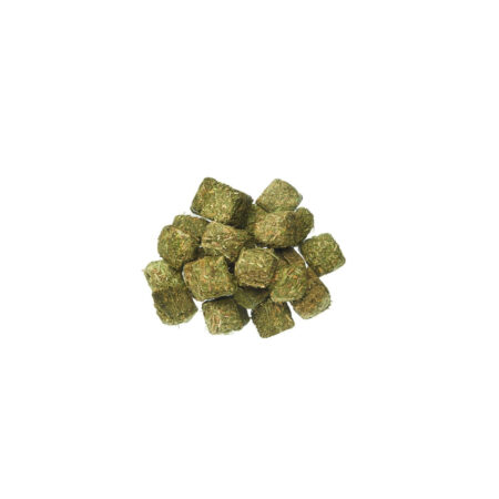 alfalfa 450x450 - Cuadritos de Alfalfa