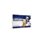 rostrum