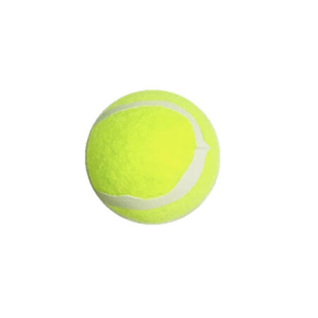 tenis 450x450 - Pelota Tenis Grande